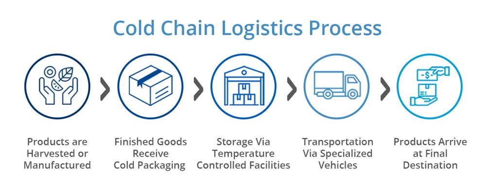 Cold-Chain-Logistics-Process